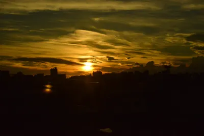 DSC_3809 (Large).JPG